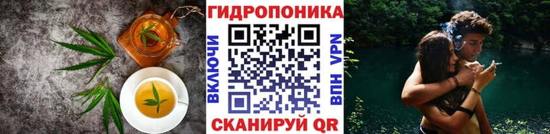 Cannafood конопля  ссылка на мегу рабочий сайт  Шарыпово  купить  